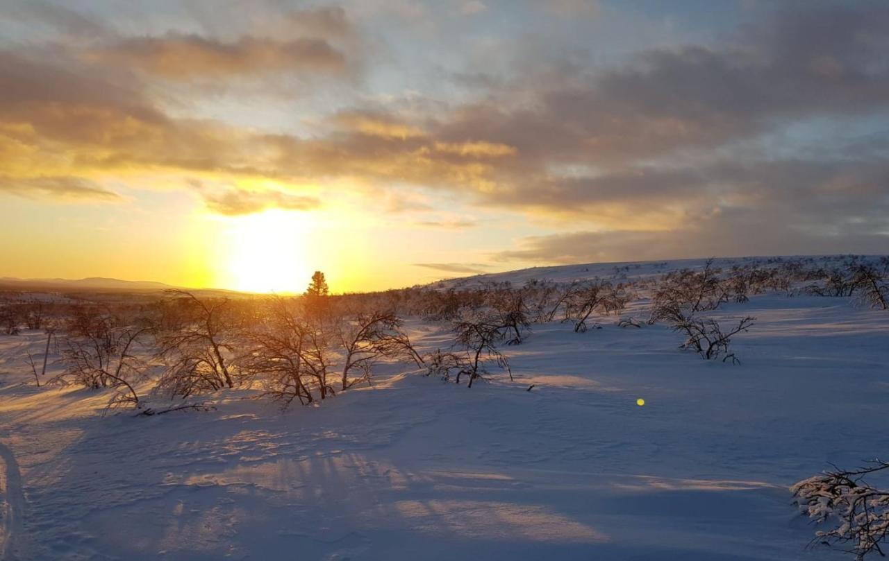 Enontekiö Arctic Lodge Hetan Kota المظهر الخارجي الصورة